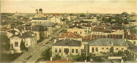 portal just braila
